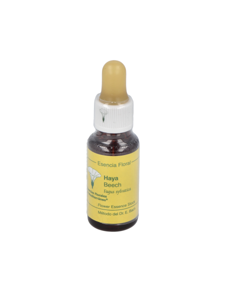 Beech E.F.Mediterraneo 20 Ml. - E.F.Mediterraneo