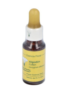 GORSE E.F.MEDITERRANEO 20 ML.