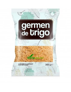 Germen De Trigo 300 Gr De Soria Natural