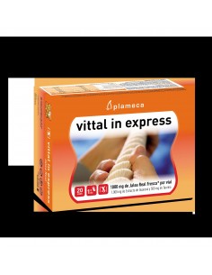 Vittal In Express 20 Viales...
