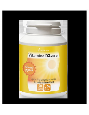 Vitamina D3 4000 Ui 90 Caps De Plameca