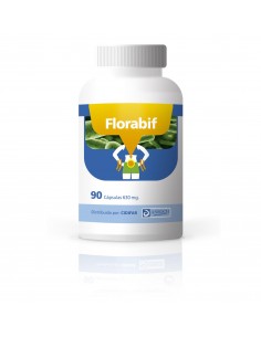 Florabif Probiotico 60 Caps De Anroch