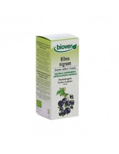 Grosellero Negro (Ribes Nigrum) 50 Ml De Biover