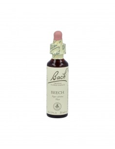 Flores Bach Beech Haya 20Ml.