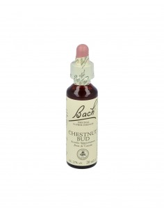 Flores Bach Chestnut Bud Brote Castaño 20Ml.