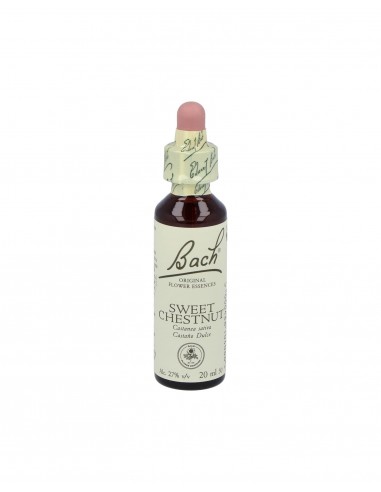 Flores Bach Sweet Chestnut Castaño Dulce 20Ml.
