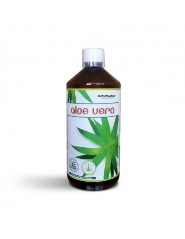 Aloe Vera 100% Pulpa 1 Litro De Enzime Sabinco