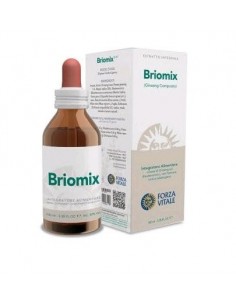 Briomix Ginseng Composto 100 Ml De Forza Vitale