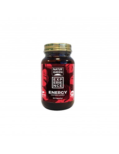 Experience Energy 90Cap. Bio de Naturgreen
