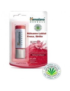 Pack Balsamo Labial Brillo De Fresa 12 UnidadesX4,5 Gramos Himalaya