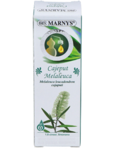 Cajeput Aceite Esencial...
