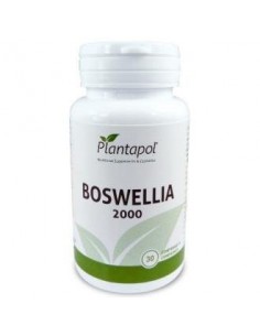 Boswellia 2000 30Comp. de...