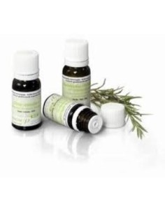Tuya Rama 10 Ml de Pranarom