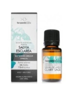 Salvia Sclarea Romana...