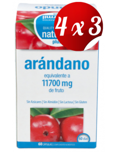 Pack 4x3 uds Arandano 90Mg....