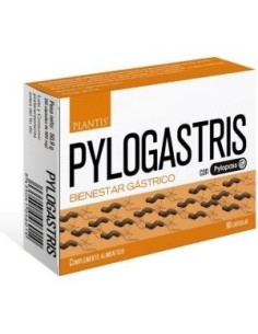 Pylogastris 90Cap. de Artesania