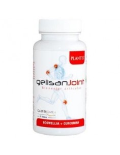 Gelisan Joint 60Cap. de Artesania