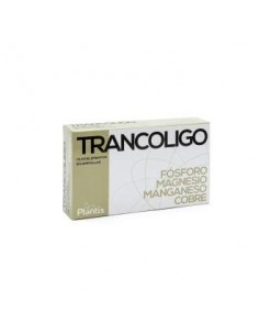Trancoligo 20 Amp. de Artesania
