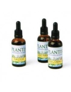 Ext.Salvia 50Ml Maese Herbario de Artesania