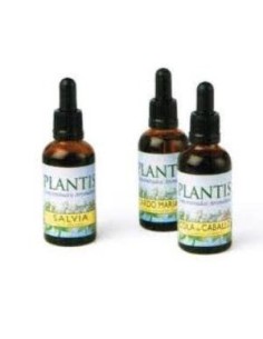 Ext.Liquen 50Ml. Maese Herbario de Artesania