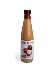 Mangostan Eco Plantis...