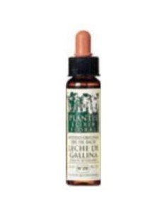 Cherry Plum Plantis Flores De Bach Nº 06 10Ml. de Artesania