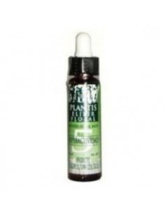 Remedio Plantis Nº 5 Hiperactividad 10Ml. Eco de Artesania