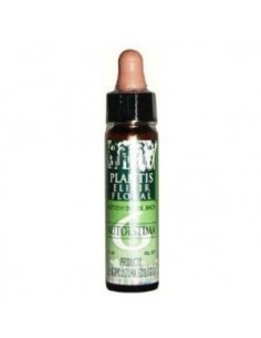 Remedio Plantis Nº 6 Autoestima 10Ml. Eco de Artesania