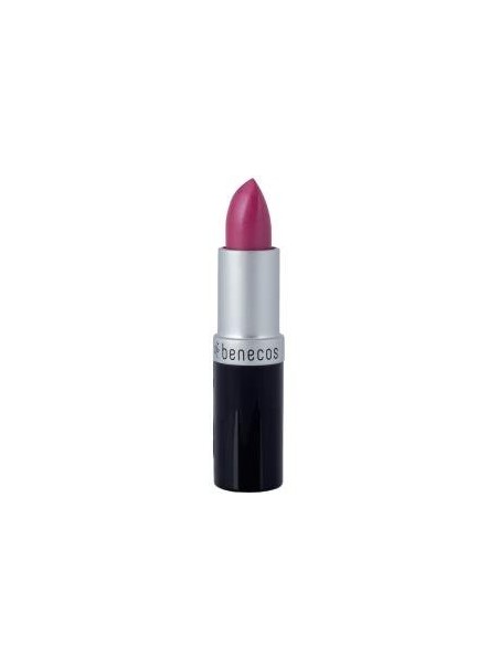 Barra De Labios Hot Pink 4,5 Gramos Benecos