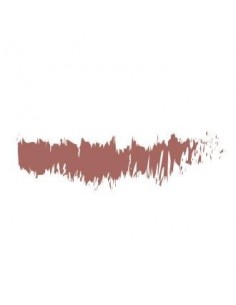 Lapiz Perfilador De Labios Marron 1,13 Gramos Benecos