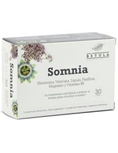 Somnia 30 Cápsulas  Betula