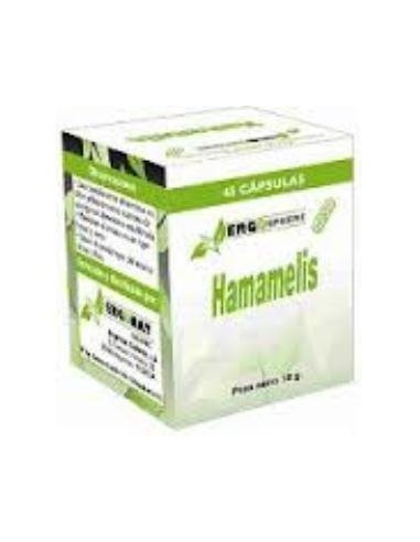 Hamamelis Ergosphere 45Cap. de Ergonat