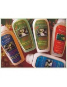 Gel Aloe + Rosa M. + Tepezcohuite 200Ml. de Fleurymer