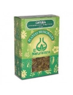 Gayuba Planta 80 Gramos El Naturalista