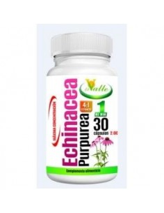 Echinacea 30Cap. de El Valle