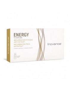 Energy 10 Viales Inovance
