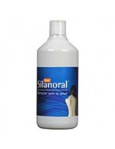 Silanoral Basic 1Litro Mca Productos Naturales