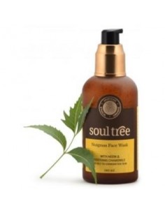 Gel Limpiador Facial Nutglass Y Neem 120 Mililitros Soultree