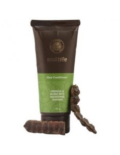 Acondicionador Capilar Hibisco 100 Gramos Soultree