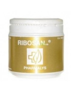 Ribosan 310 Gramos Pharmalys