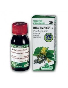 Ext.Hieracium Pilosella...