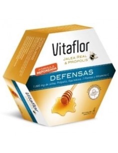 Vitaflor Defensas Echinacea 20 Viales Vitaflor