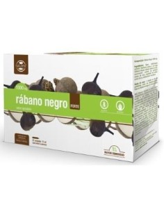 Pack 4x3 uds Rábano Negro...