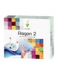 Nodagas (Ragon-2) 48Cap. de Novadiet