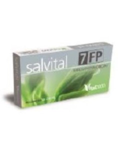 Salvital Nº7 Fp Ferrum Phosphoricum 40Cap. de Vital 2000