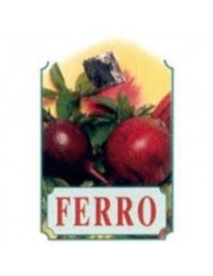 Xer22 Ferro Jarabe 250 Ml Bellsola