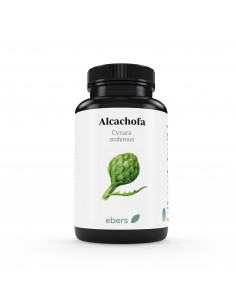 Alcachofa 60 Comp de Ebers