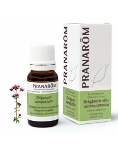 Oregano De Inflorescencias Compactas Sumidad Florida 10 Ml de Pranarom