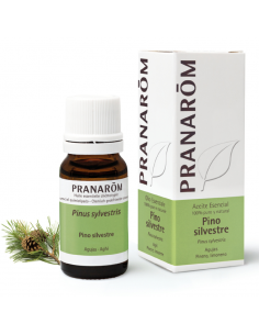 Pino Silvestre Agujas 10 Ml de Pranarom