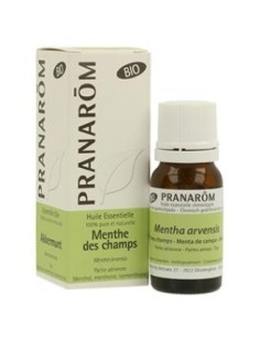 Menta De Campo Partes Aereas Bio 10 Ml de Pranarom